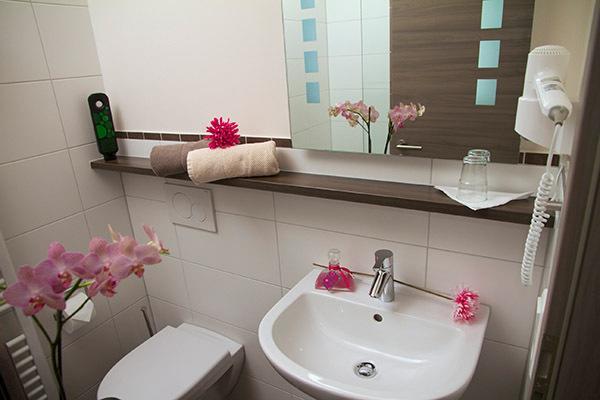 Lohauserhof - Biohof Und Hotel Rohrmoos Chambre photo